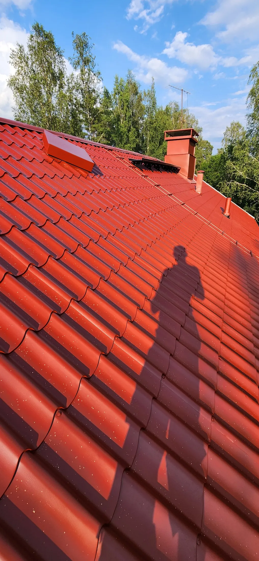 Peltikaton pinnoitus