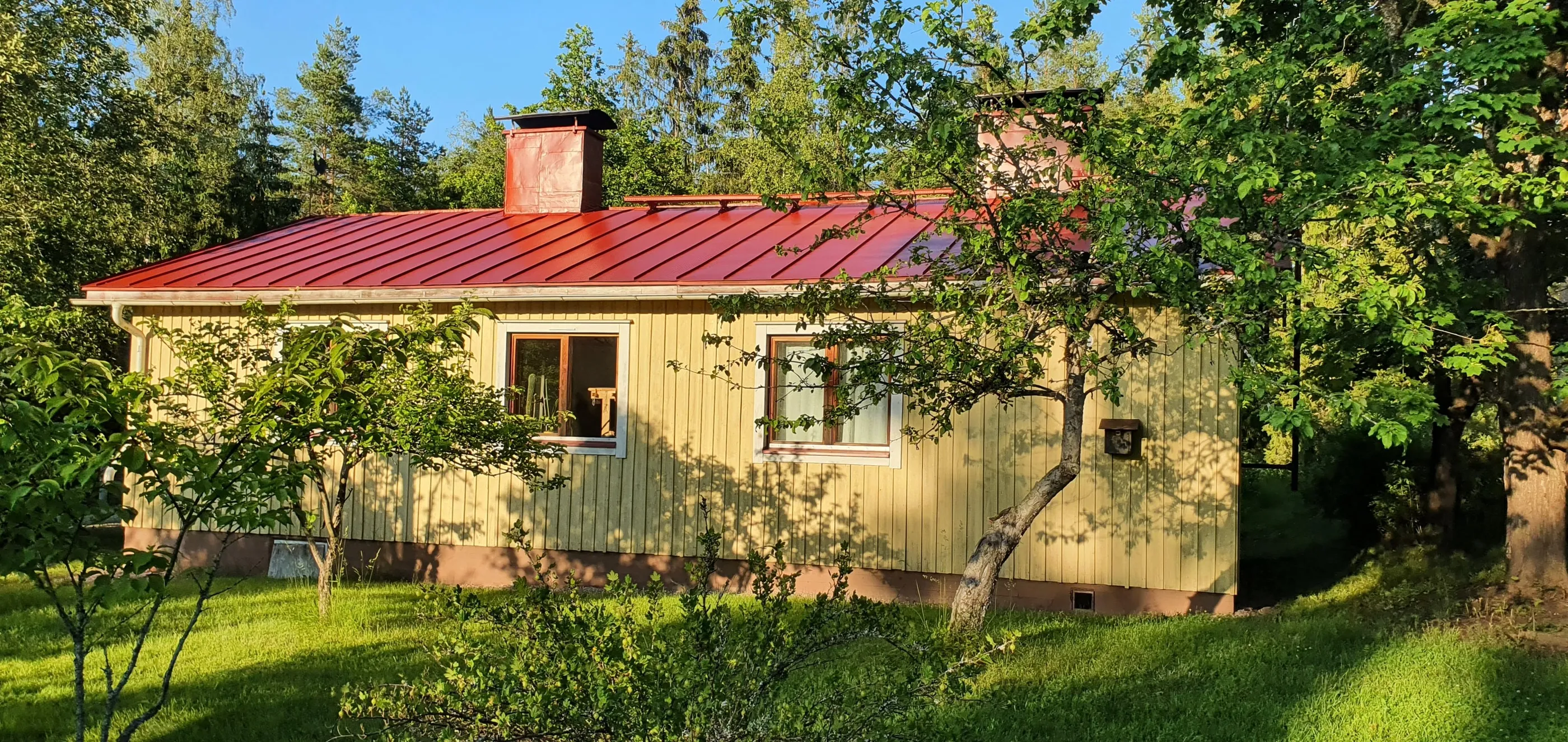 Peltikaton pinnoitus